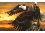 Sunsout Puzzle Figlia Dell'aquila - 1000 Teile Puzzle