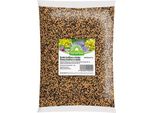 Nohel Garden Senape+Miscela Di Senape Seminko 1Kg