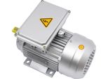 Motore Elettrico Asincrono, Potenza 750 W, Velocità 1380 Giri/Min, Protezione IP55