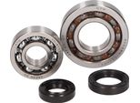 Set Cuscinetti Albero Motore Per Aprilia Scarabeo, Piaggio Liberty, Zip, Vespa ET4 50 4T (1A Serie, Sede Cuscinetto 25Mm)