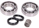 Set Di Cuscinetti Albero Motore Incl. Guarnizioni Albero Per Rotax 122, 123