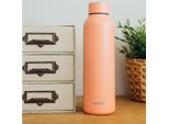 Quokka Solid, Bottiglia / Thermos In Acciaio Inox Pesca Pastello, 850Ml, 40215