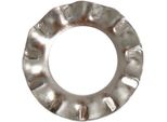 Bofix Rondella Dentata M5 In Acciaio Inox, Confezione A 100 Pz.