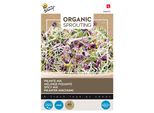 Buzzy Lattuga Germogliata Biologica Piccante - Semi Biologici - Circa 30 Gr | Buzzy_084070