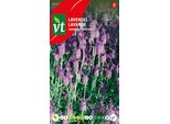 Semi Di Lavanda - Circa 0,75 Gr | VT_2955
