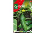 Cetriolo Mini Beth Alpha F1 Semi - Circa 1 Gr | VT_977