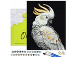 Oh Art! Dipingi Con I Numeri Set Di Animali Pappagallo Bianco Con 3 Pennelli 22 Colori Acrilici Tela Nera Con Vernice Oro 50X40 Cm Set Di Pittura Creativa Fai Da Te