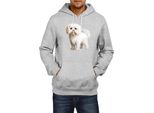 Felpa Con Cappuccio Da Uomo Dogs Breeds Maltese Dog Breed 005, Man S , Gris