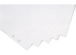 Blocco Per Lavagna A Fogli Mobili Magnetoplan Formato: 650 X 980 Mm Piatto 5 Blocchi Da 20 Fogli