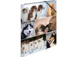 Herma Sammelmappe A4 Hunde Pappe