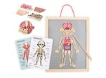 Puzzle Magnetici - Scienza Dell'anatomia - Corpo Umano