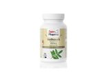 Zein Pharma Incenso, Boswellia Serrata, 450 Mg, 120 Capsule 13758