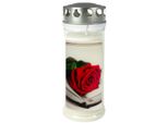 Candela Commemorativa Jeka 215X75Mm M27 Rose/Buch, 7 Giorni