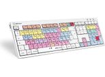 Logickeyboard LKB-PT-CWMU-UK - Dimensioni Reali (100%) - Cablato - Usb - Interruttore Meccanico - Qwerty - Multicolore