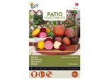 Buzzy Patio Veggies Barbabietola Hula Hoop 4 Semi Misti Colorati - Circa 2 Gr | Buzzy_083024