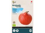 Buzzy Zucca Uchiki Kuri - Semi Biologici - Circa 1,75 Gr | Buzzy_92488