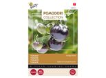 Buzzy Pomodori Pomodoro Rosa Indaco (Nero) Semi - Circa 8 Semi | Buzzy_028223