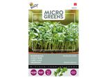 Buzzy Microgreens Kale Westland Semi Semi Alti - Circa 1 Gr | Buzzy_080320