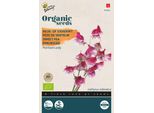 Buzzy Organic Pisello Dolce Painted Lady - Semi Biologici - Circa 2,5 Gr | Buzzy_94404