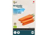 Buzzy Carota Estiva Biologica Nantes 2 - Semi Biologici - Circa 1 Gr | Buzzy_92935