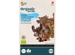 Buzzy Insalatiera Biologica Lattuga Rossa - Semi Biologici - Circa 1 Gr | Buzzy_92680