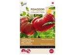Buzzy Pomodori Flei Pomodoro Bistecca F1 Semi - Circa 10 Semi | Buzzy_028330