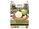 Semi Di Cavolfiore Buzzy Patio Veggies Amazing - Circa 20 Semi | Buzzy_083025