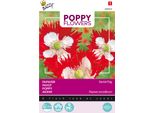 Buzzy Poppy Flowers Semi Di Papavero - Circa 0,75 Gr | Buzzy_080856