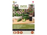 Buzzy Patio Veggies Snack Cetriolo Kalimero F1 Semi - Circa 6 Semi | Buzzy_083008