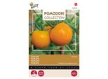 Buzzy Pomodori Pomodoro Arancia Semi - Circa 1,5 Gr | Buzzy_028435
