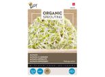 Buzzy Erba Medica Germogliata Biologica - Semi Biologici - Circa 30 Gr | Buzzy_084040
