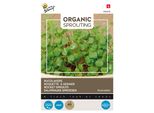 Buzzy Rucola Germogliata Biologica - Semi Biologici - Circa 30 Gr | Buzzy_084058