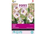Buzzy Poppy Flowers Semi Di Papavero Da Oppio - Circa 1 Gr | Buzzy_080854