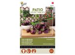 Buzzy Patio Veggies Mini Eggfruit Patio Baby F1 Seeds - Circa 6 Semi | Buzzy_083004