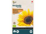 Buzzy Girasole Gigante Biologico - Semi Biologici - Circa 3 Gr | Buzzy_94342