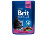 Brit Premium Cat Adult Pollo + Tacchino Bustina 100G