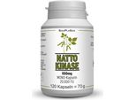 Nattokinase 100 Mg Mono 20.000 Fu Capsule 120 Capsule