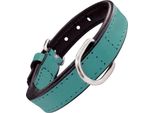 Collare Per Cani Gloria Imbottitura Turchese (30 X 1,5 Cm)