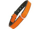 Collare Per Cani Gloria Imbottitura Arancione (30 X 1,5 Cm)