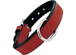 Collare Per Cani Gloria Imbottitura Rossa (50 X 2,5 Cm)