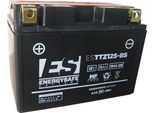 Batteria Energysafe ESTTZ12S-BS 12V/11AH Sigillata Con Acido