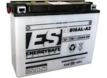 Batteria Energysafe ESB16AL-A2 12V/16AH