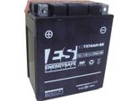 Batteria Energysafe ESTX14AH-BS 12V/12AH Sigillata Con Acido