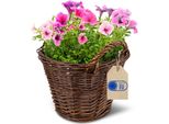 Creative Home Vaso Da Fiori In Vimini Scuro Con Pellicola Per Balcone | 30 X 30 X 30 Cm | Intrecciato A Mano | Da Riporre | Cestino In Vimini