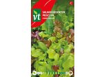 Semi Di Insalata Classica Mesclun - Circa 4 Gr | VT_984