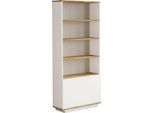 Dmora Libreria Achromic 26.8X75X168.3H Cm Marrone, 2 Ante 4 Ripiani