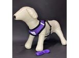Reflex Collari Per Cani Con Guinzaglio L - Viola