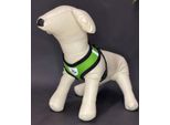 Reflex Collari Per Cani Con Guinzaglio L - Verde
