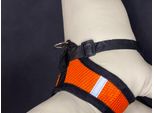 Reflex Collari Per Cani Con Guinzaglio S - Arancione