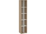 Dmora Libreria Erevan 34.3X40.8X204.7H Cm Marrone, 4 Ripiani Portata Ripiani 6